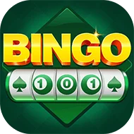 Bingo 101 — Illustrative artwork